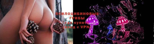 крисы Татарск