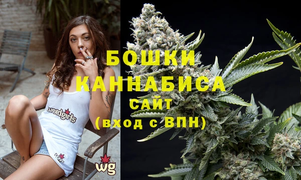 ECSTASY Валдай