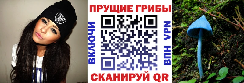 Псилоцибиновые грибы Psilocybine cubensis  сколько стоит  Дивногорск 