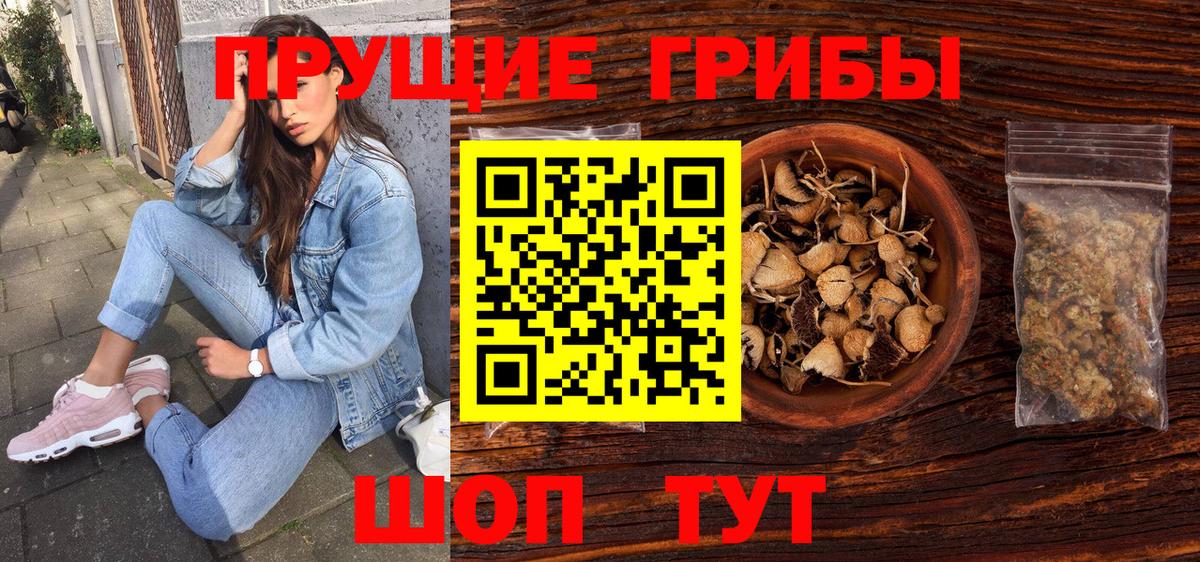 Псилоцибиновые грибы Cubensis Дивногорск